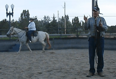 Another picture of Joe in round pen with Kim riding Curl.